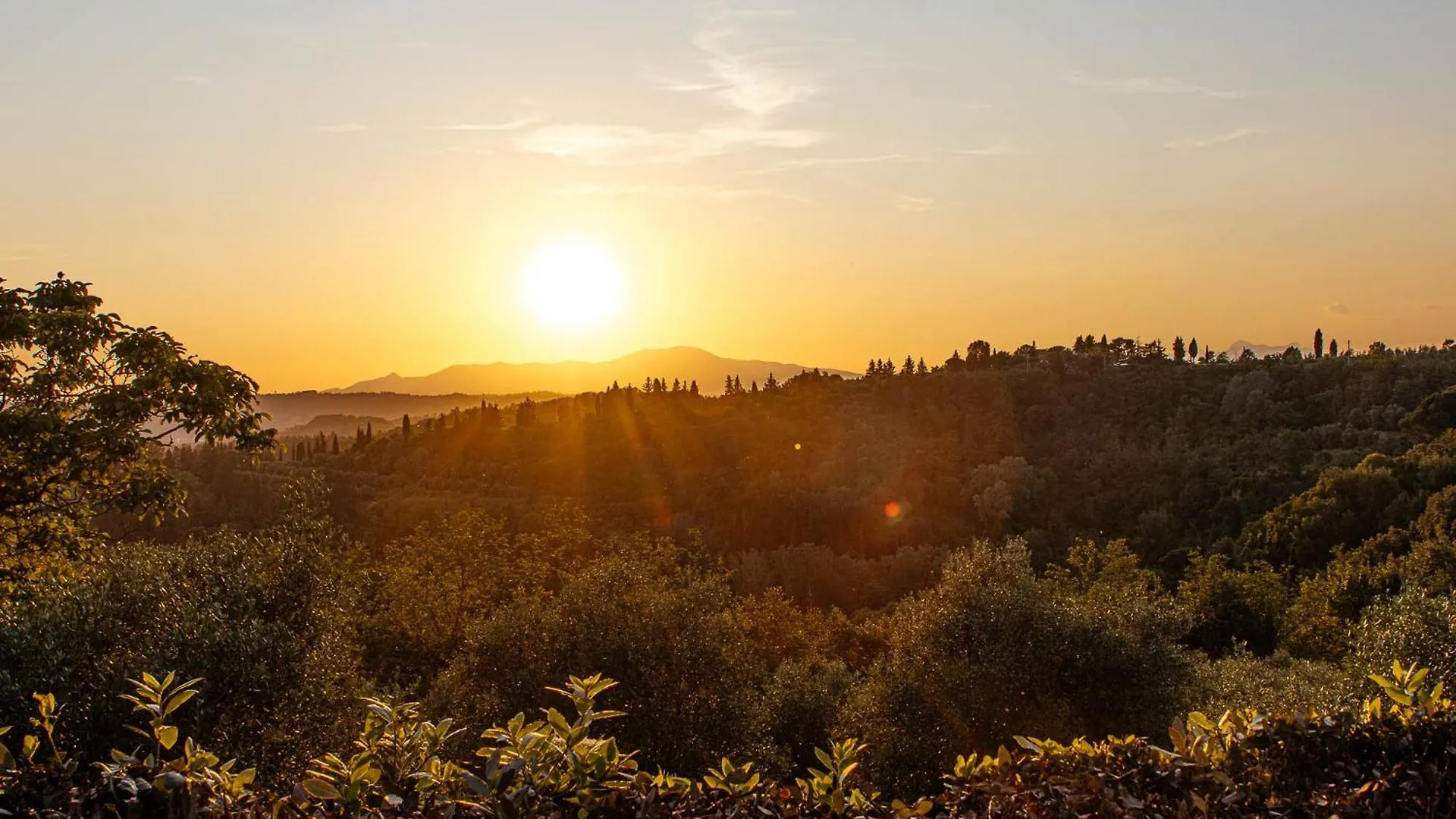 Guest house Collebrunacchi B&B San Miniato