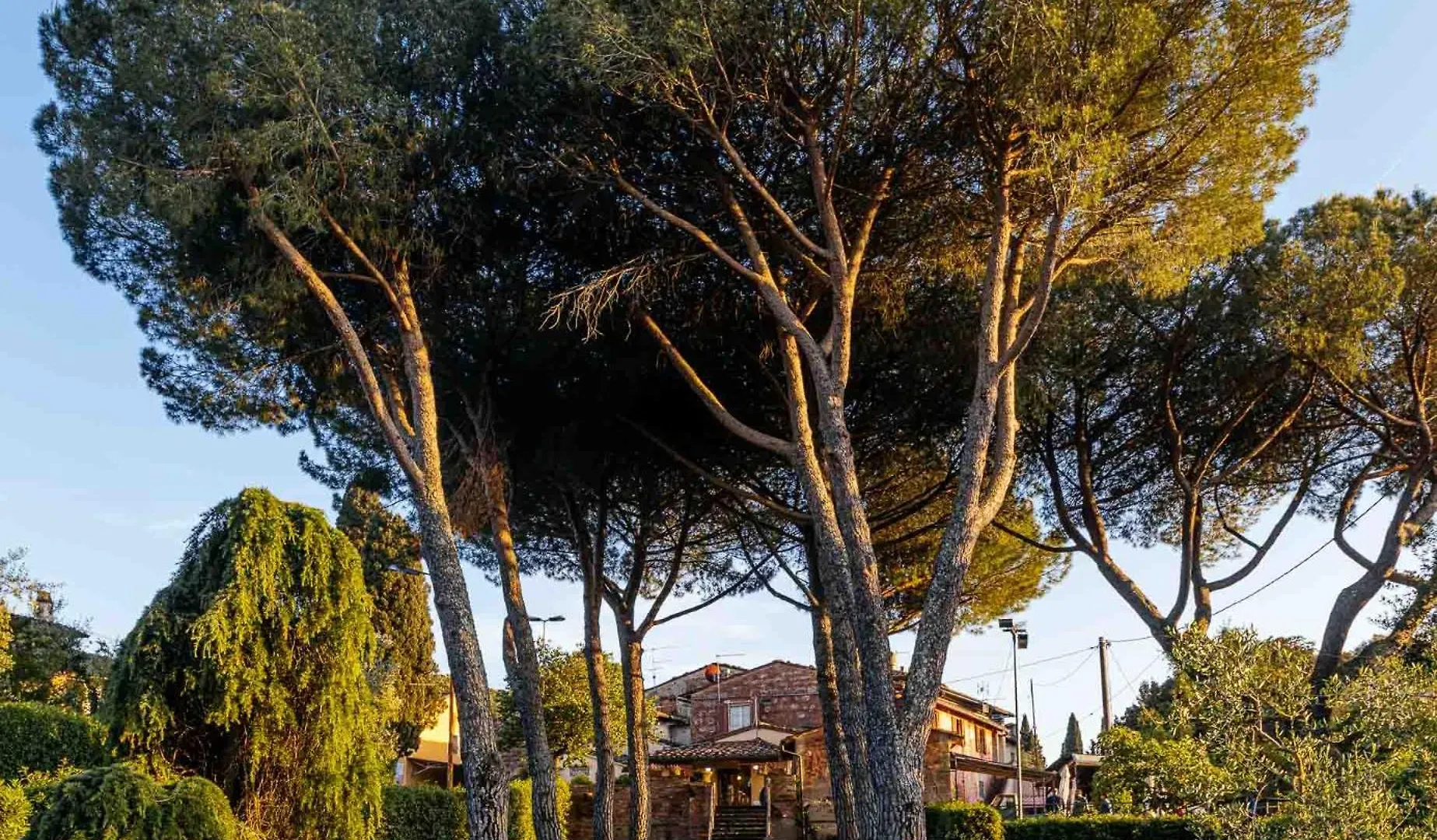 Collebrunacchi B&B San Miniato